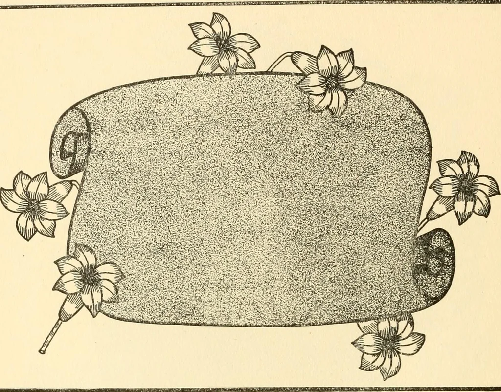 An illustration from How to paint flowers, scrolls and fancy borders for up-to-date show cards, posters, display signs and decorating, 1915, leaf 87