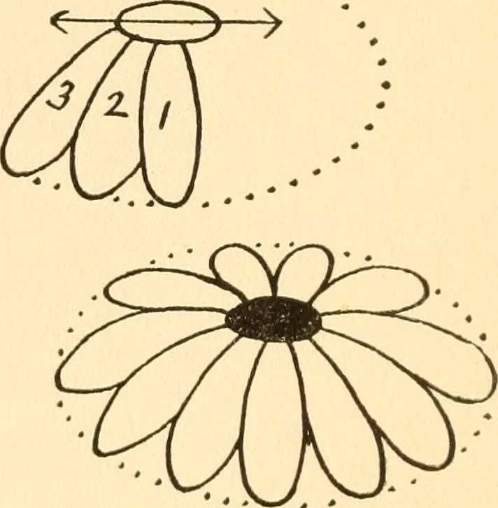 An illustration from How to paint flowers, scrolls and fancy borders for up-to-date show cards, posters, display signs and decorating, 1915, leaf 9