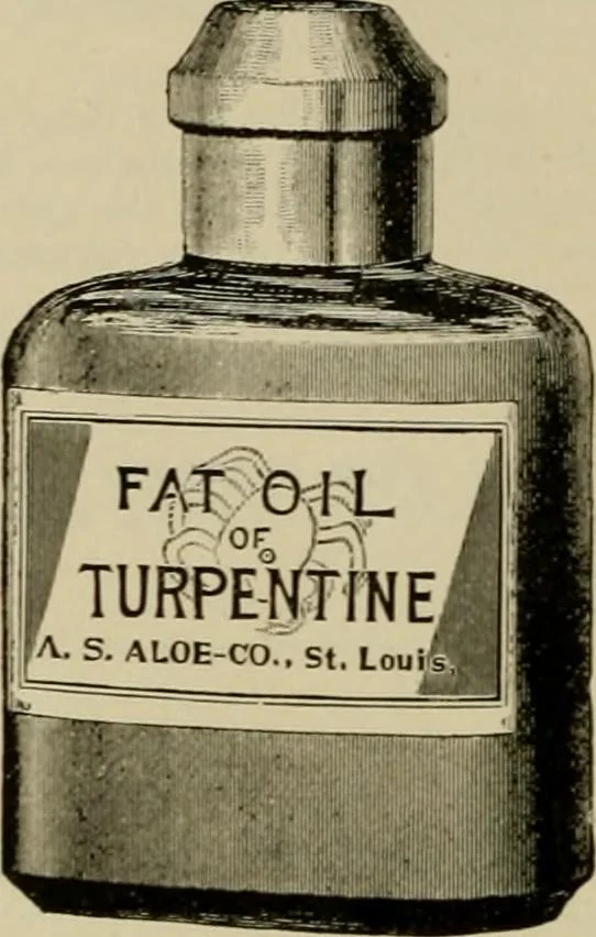 An illustration from How to paint : an instruction book with full description of all the materials necessary., 1894, leaf 105