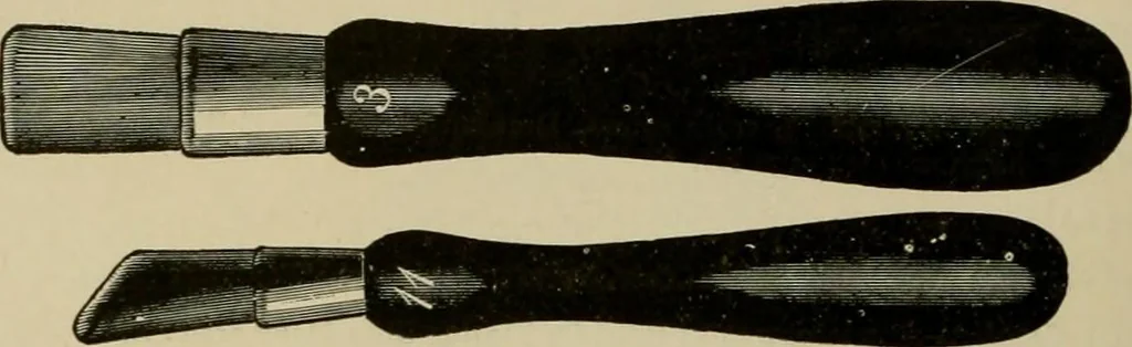An illustration from How to paint : an instruction book with full description of all the materials necessary., 1894, leaf 107