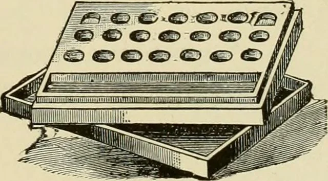 An illustration from How to paint : an instruction book with full description of all the materials necessary., 1894, leaf 108