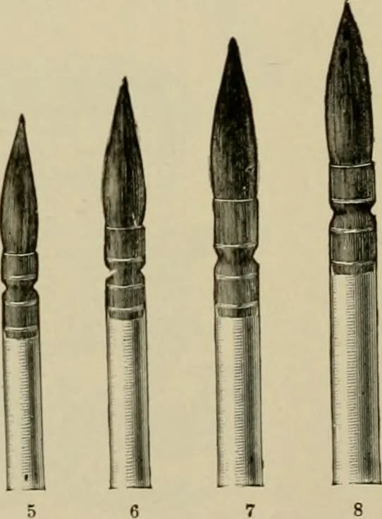 An illustration from How to paint : an instruction book with full description of all the materials necessary., 1894, leaf 113