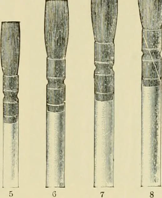 An illustration from How to paint : an instruction book with full description of all the materials necessary., 1894, leaf 116