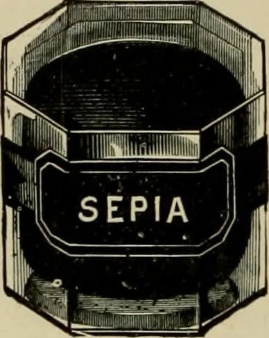 An illustration from How to paint : an instruction book with full description of all the materials necessary., 1894, leaf 131