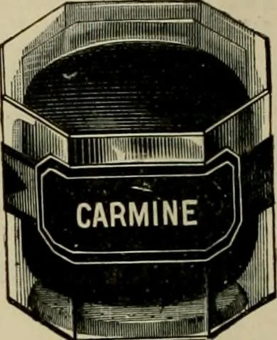 An illustration from How to paint : an instruction book with full description of all the materials necessary., 1894, leaf 131