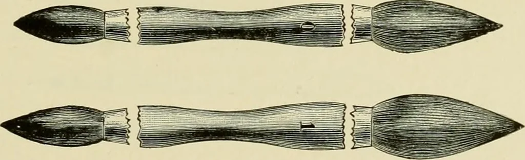 An illustration from How to paint : an instruction book with full description of all the materials necessary., 1894, leaf 146