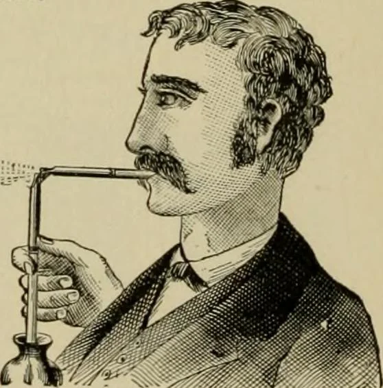 An illustration from How to paint : an instruction book with full description of all the materials necessary., 1894, leaf 161