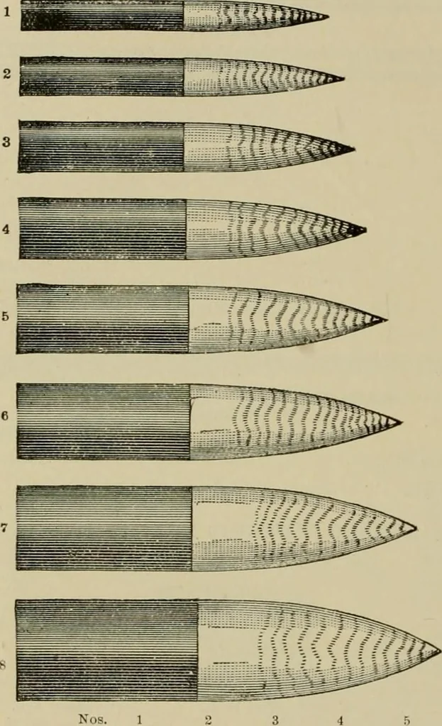 An illustration from How to paint : an instruction book with full description of all the materials necessary., 1894, leaf 163