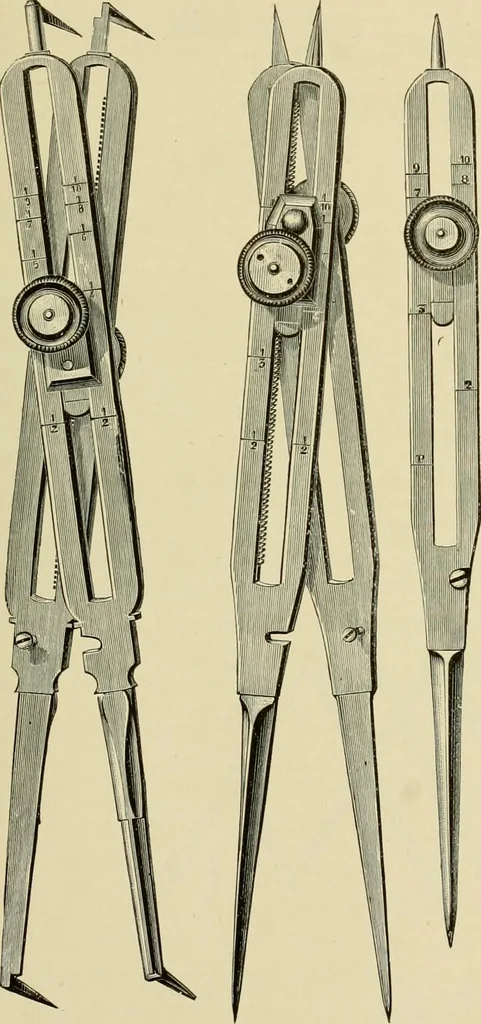 An illustration from How to paint : an instruction book with full description of all the materials necessary., 1894, leaf 166