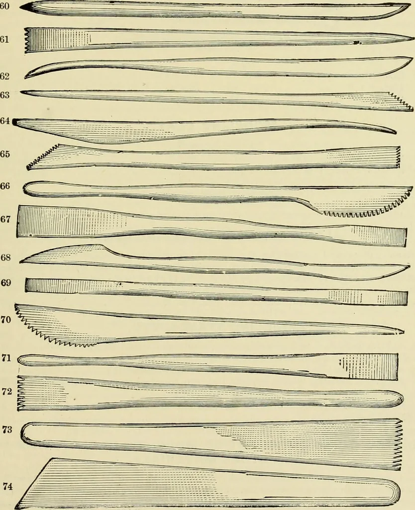 An illustration from How to paint : an instruction book with full description of all the materials necessary., 1894, leaf 206