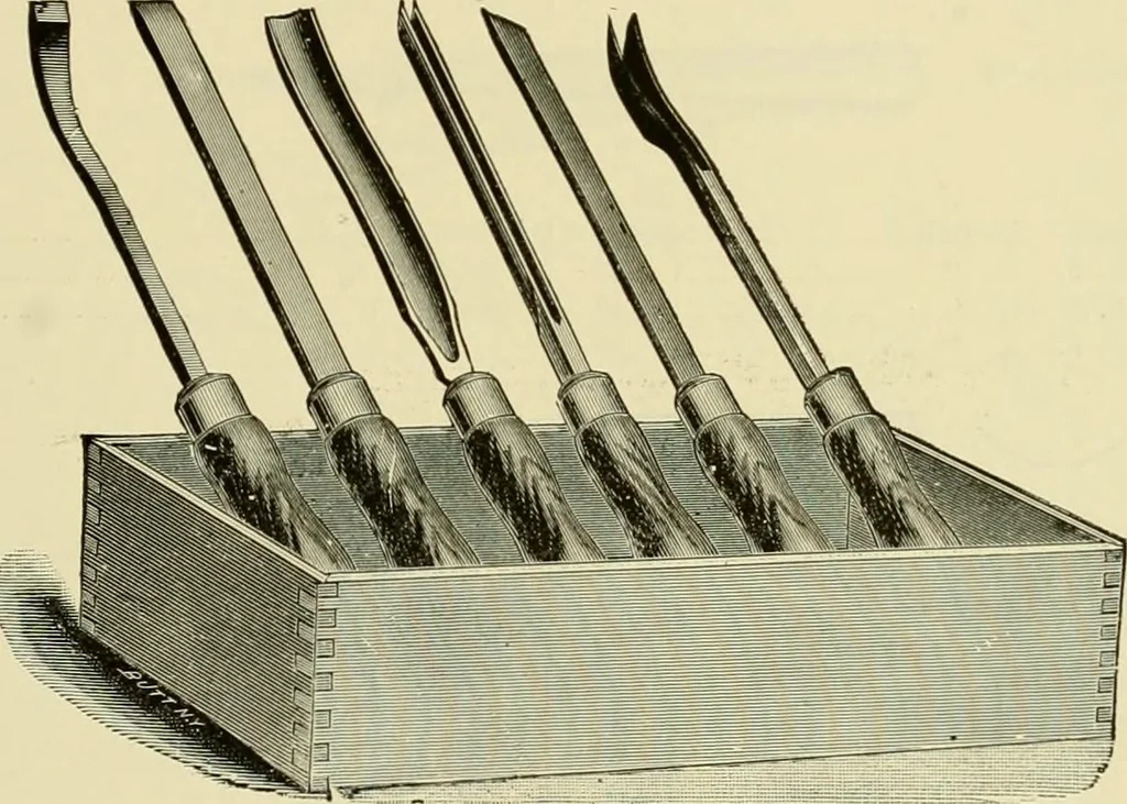An illustration from How to paint : an instruction book with full description of all the materials necessary., 1894, leaf 214
