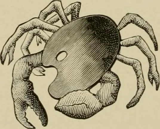 An illustration from How to paint : an instruction book with full description of all the materials necessary., 1894, leaf 23