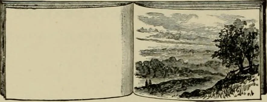 An illustration from How to paint : an instruction book with full description of all the materials necessary., 1894, leaf 261