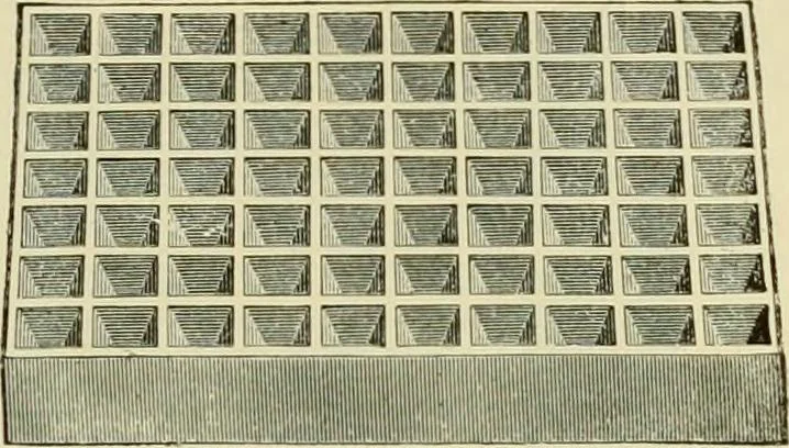 An illustration from How to paint : an instruction book with full description of all the materials necessary., 1894, leaf 268