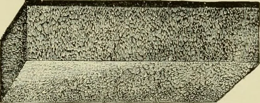 An illustration from How to paint : an instruction book with full description of all the materials necessary., 1894, leaf 268