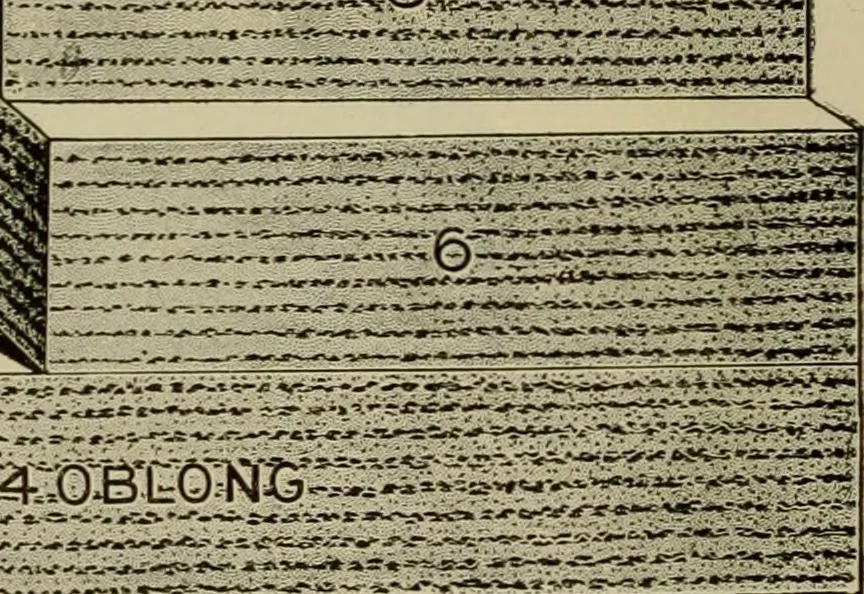 An illustration from How to paint : an instruction book with full description of all the materials necessary., 1894, leaf 269