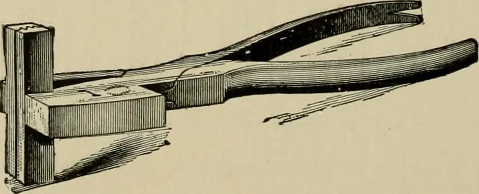 An illustration from How to paint : an instruction book with full description of all the materials necessary., 1894, leaf 27