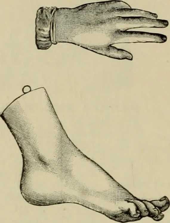 An illustration from How to paint : an instruction book with full description of all the materials necessary., 1894, leaf 293