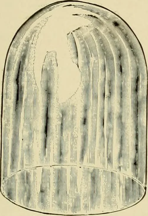 An illustration from How to paint : an instruction book with full description of all the materials necessary., 1894, leaf 294