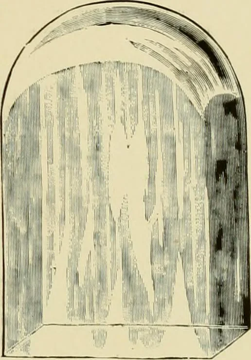 An illustration from How to paint : an instruction book with full description of all the materials necessary., 1894, leaf 294