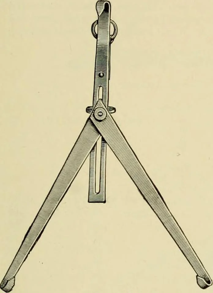 An illustration from How to paint : an instruction book with full description of all the materials necessary., 1894, leaf 300