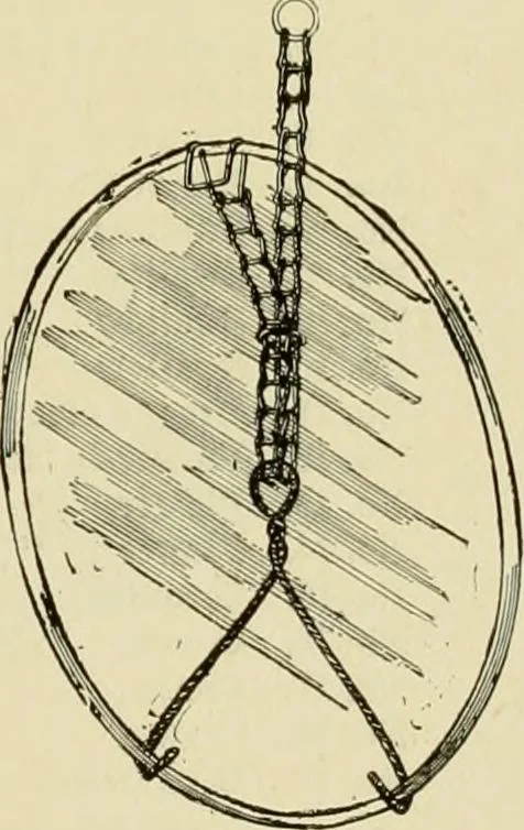 An illustration from How to paint : an instruction book with full description of all the materials necessary., 1894, leaf 300