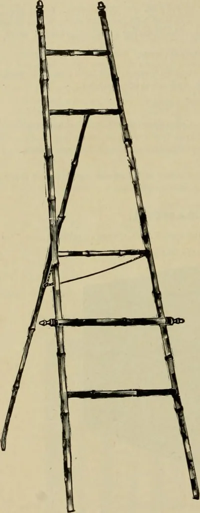 An illustration from How to paint : an instruction book with full description of all the materials necessary., 1894, leaf 309