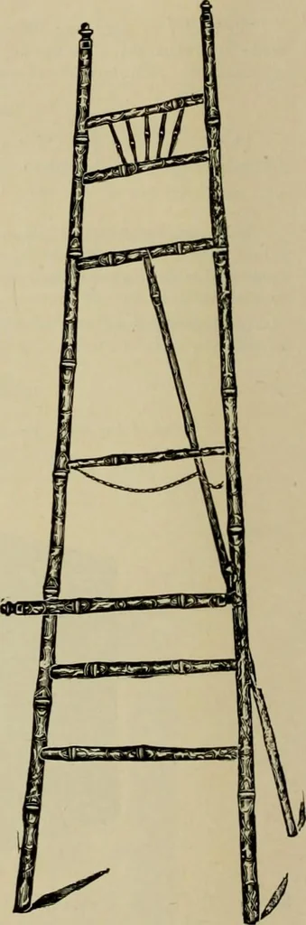 An illustration from How to paint : an instruction book with full description of all the materials necessary., 1894, leaf 309