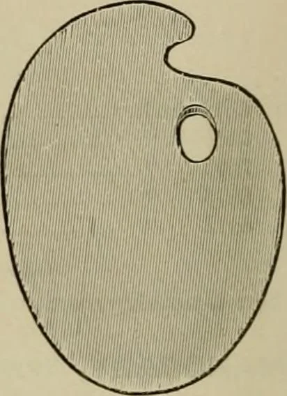 An illustration from How to paint : an instruction book with full description of all the materials necessary., 1894, leaf 31