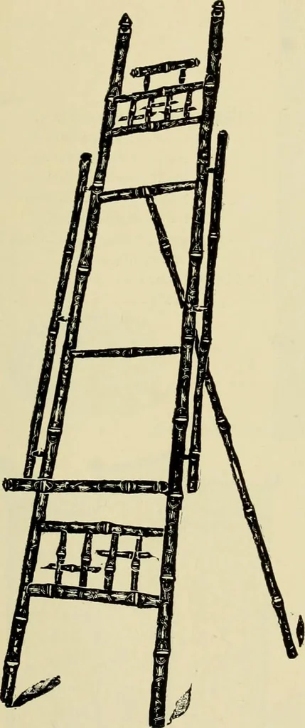 An illustration from How to paint : an instruction book with full description of all the materials necessary., 1894, leaf 310