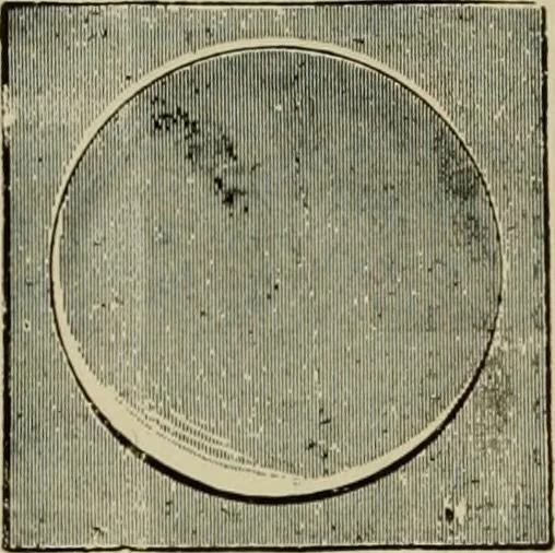 An illustration from How to paint : an instruction book with full description of all the materials necessary., 1894, leaf 313