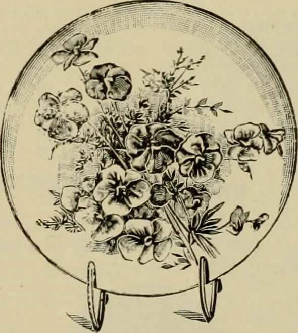 An illustration from How to paint : an instruction book with full description of all the materials necessary., 1894, leaf 313