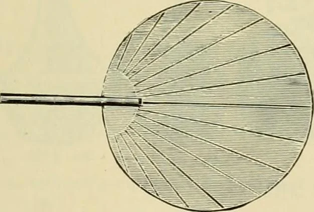 An illustration from How to paint : an instruction book with full description of all the materials necessary., 1894, leaf 320