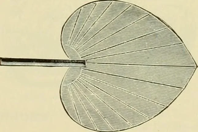 An illustration from How to paint : an instruction book with full description of all the materials necessary., 1894, leaf 320