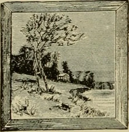 An illustration from How to paint : an instruction book with full description of all the materials necessary., 1894, leaf 323