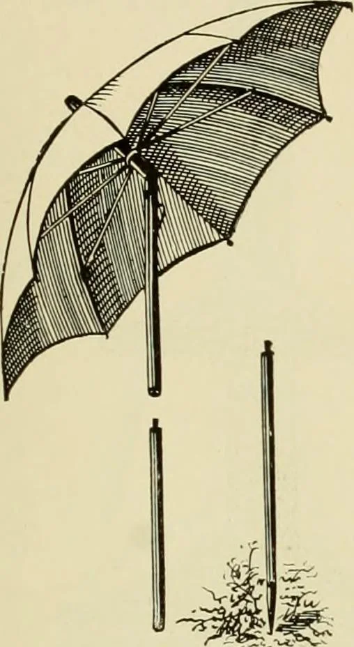 An illustration from How to paint : an instruction book with full description of all the materials necessary., 1894, leaf 34