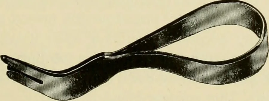An illustration from How to paint : an instruction book with full description of all the materials necessary., 1894, leaf 346