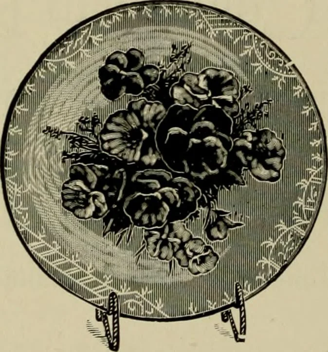 An illustration from How to paint : an instruction book with full description of all the materials necessary., 1894, leaf 361