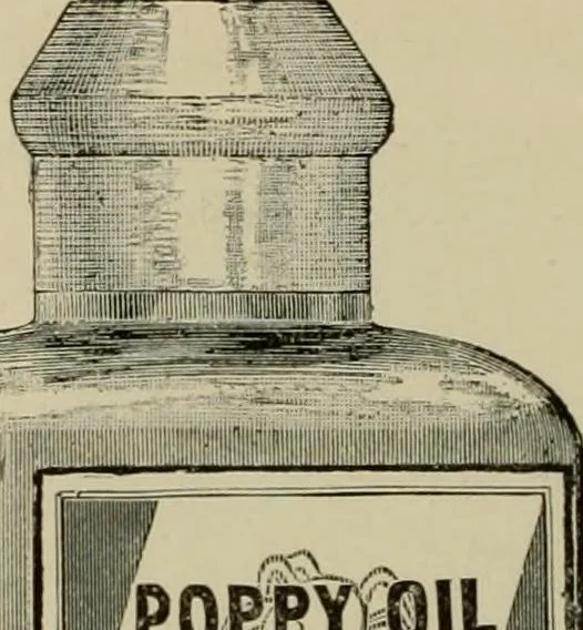 An illustration from How to paint : an instruction book with full description of all the materials necessary., 1894, leaf 43