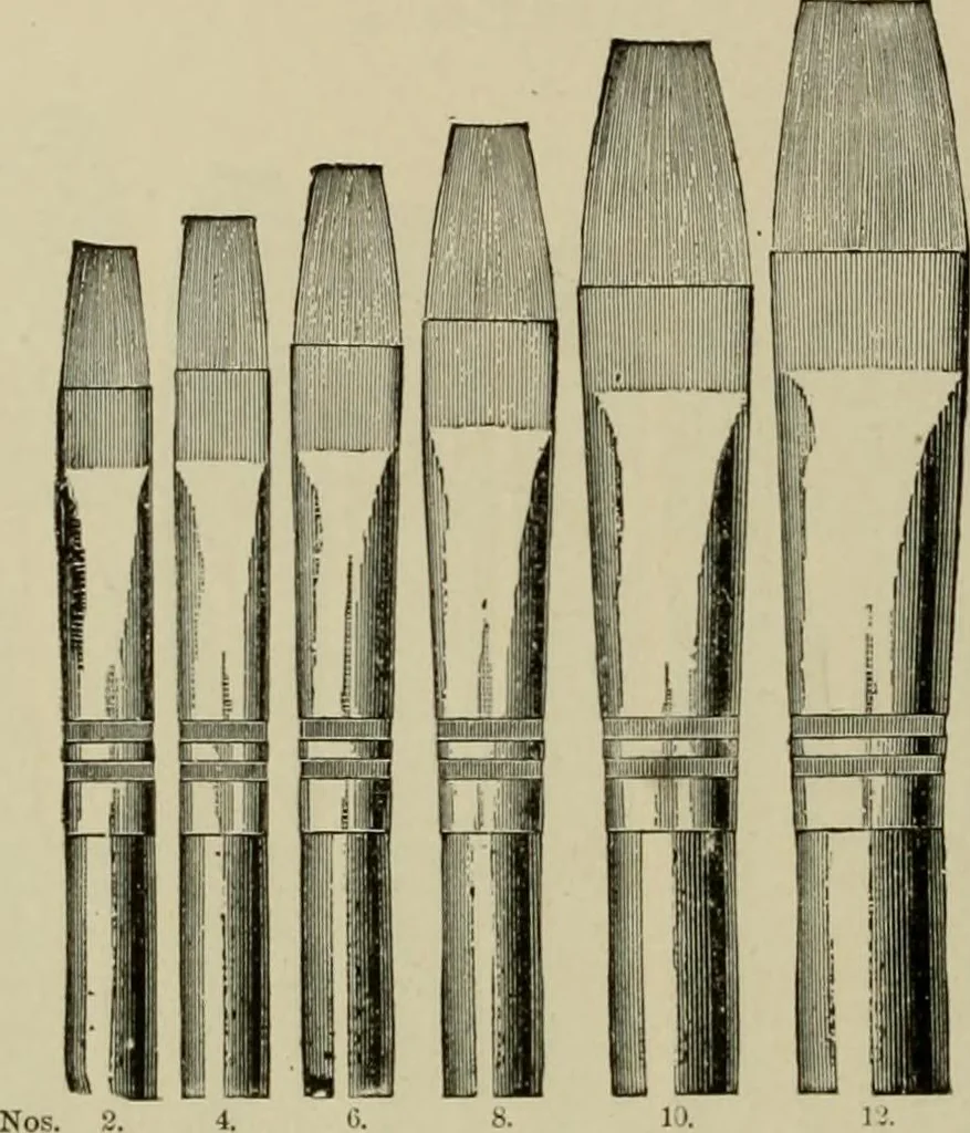 An illustration from How to paint : an instruction book with full description of all the materials necessary., 1894, leaf 51