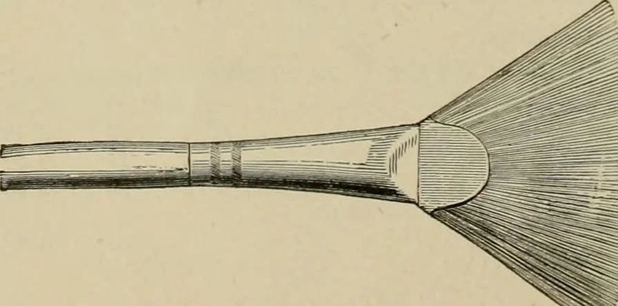 An illustration from How to paint : an instruction book with full description of all the materials necessary., 1894, leaf 51