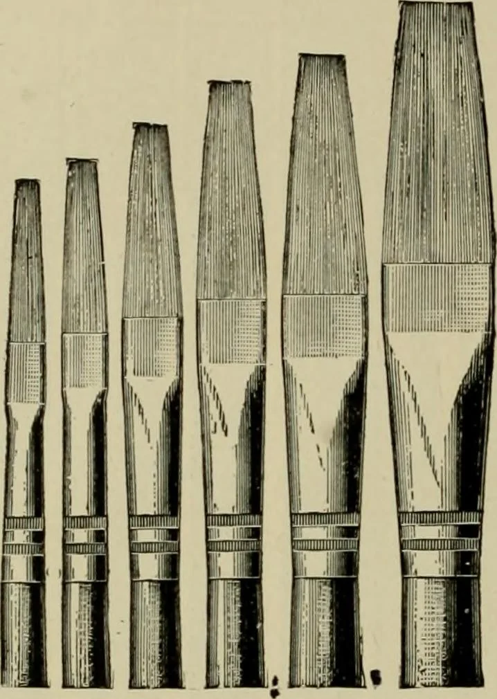 An illustration from How to paint : an instruction book with full description of all the materials necessary., 1894, leaf 53