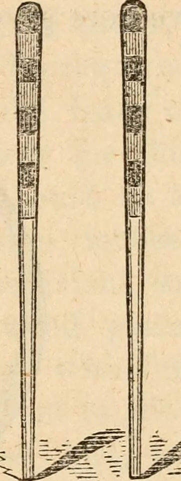 An illustration from How to play croquêt : a new pocket manual of complete instructions for American players, illustrated with engravings and diagrams, together with all the rules of the game, hints on parlor croquêt, and a glossary of terms., 1865, leaf 16