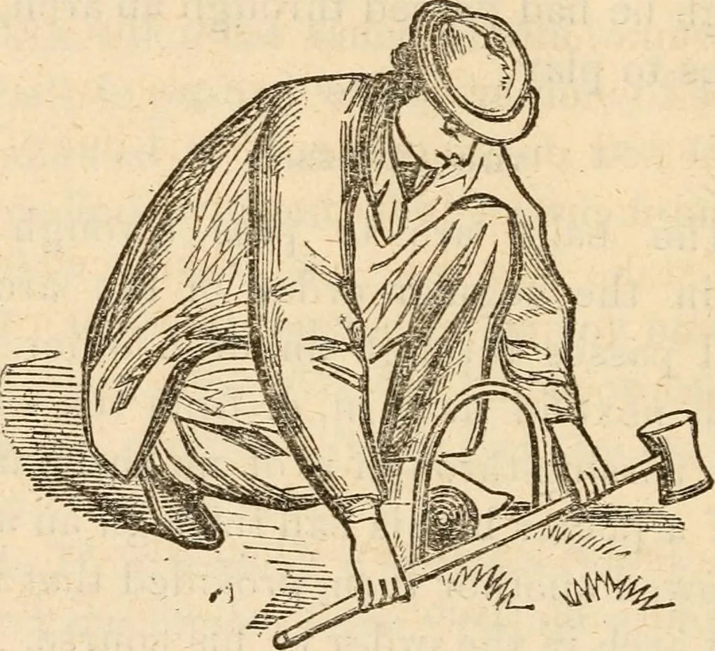 An illustration from How to play croquêt : a new pocket manual of complete instructions for American players, illustrated with engravings and diagrams, together with all the rules of the game, hints on parlor croquêt, and a glossary of terms., 1865, leaf 39