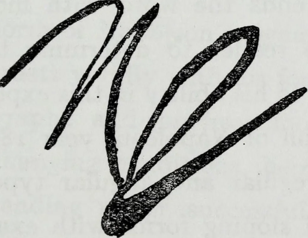 An illustration from How to read character in handwriting : a guide for the beginner and student of graphology, 1910, leaf 28