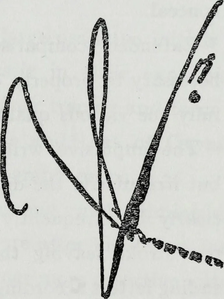 An illustration from How to read character in handwriting : a guide for the beginner and student of graphology, 1910, leaf 28