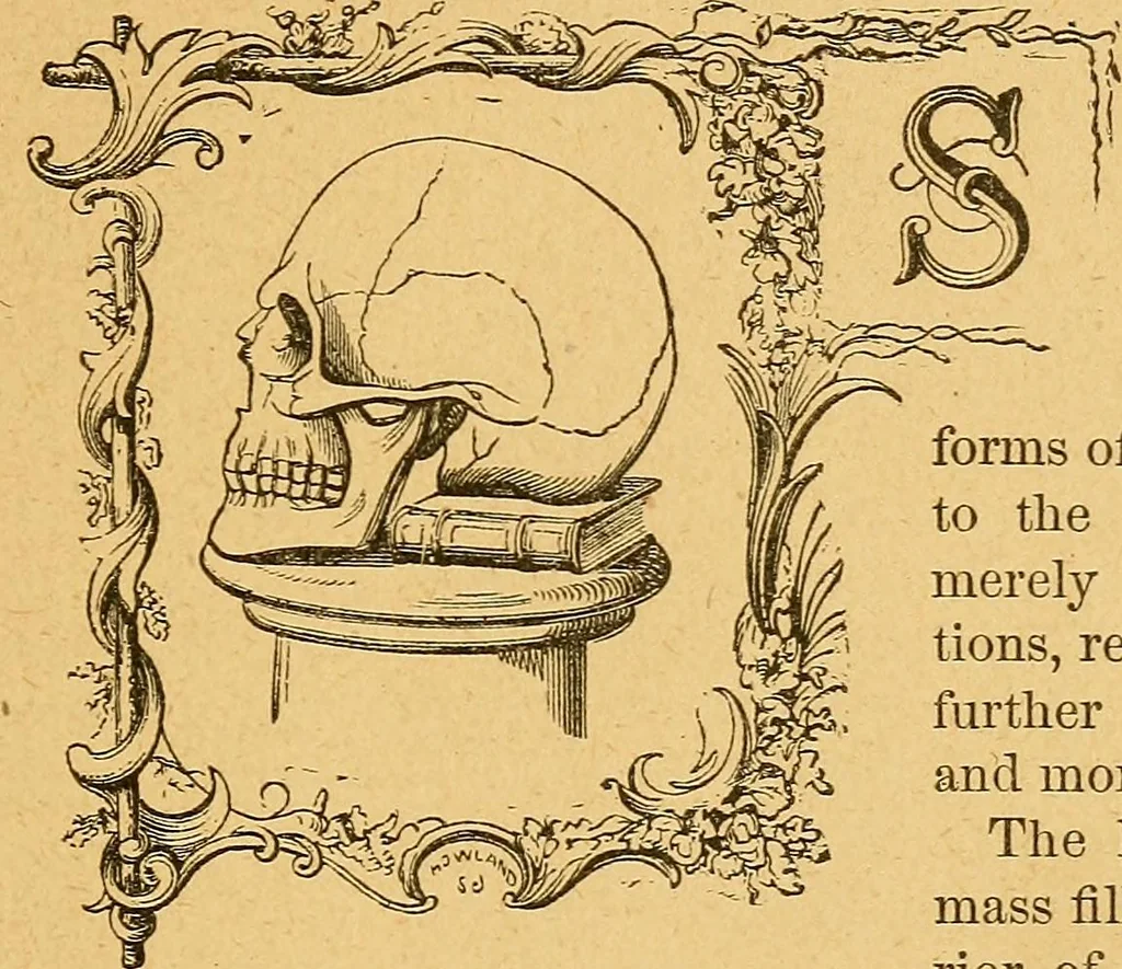 An illustration from How to read character : a new illustrated hand-book of phrenology and physiognomy, for students and examiners : with a descriptive chart, 1890, leaf 10