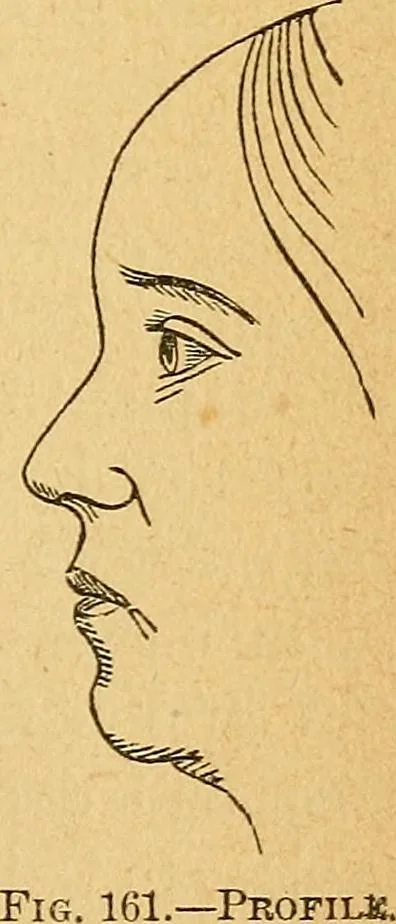 An illustration from How to read character : a new illustrated hand-book of phrenology and physiognomy, for students and examiners : with a descriptive chart, 1890, leaf 126