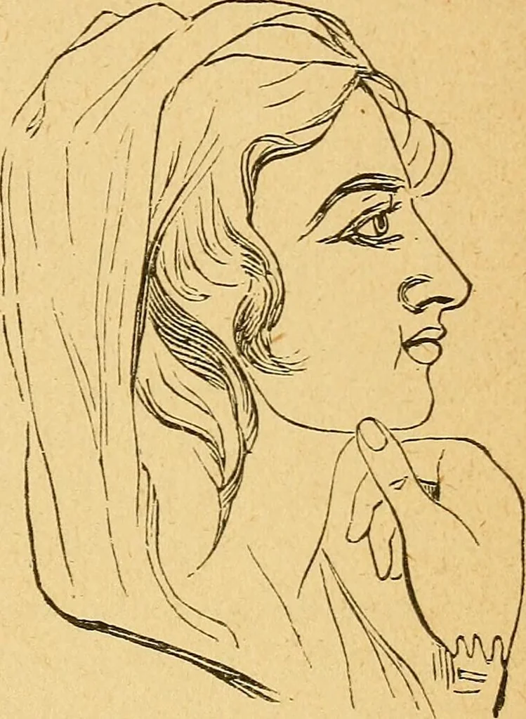 An illustration from How to read character : a new illustrated hand-book of phrenology and physiognomy, for students and examiners : with a descriptive chart, 1890, leaf 128