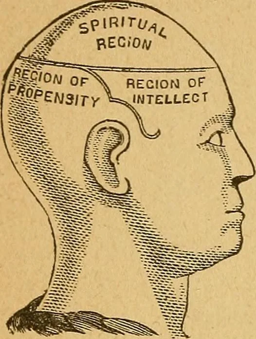 An illustration from How to read character : a new illustrated hand-book of phrenology and physiognomy, for students and examiners : with a descriptive chart, 1890, leaf 129